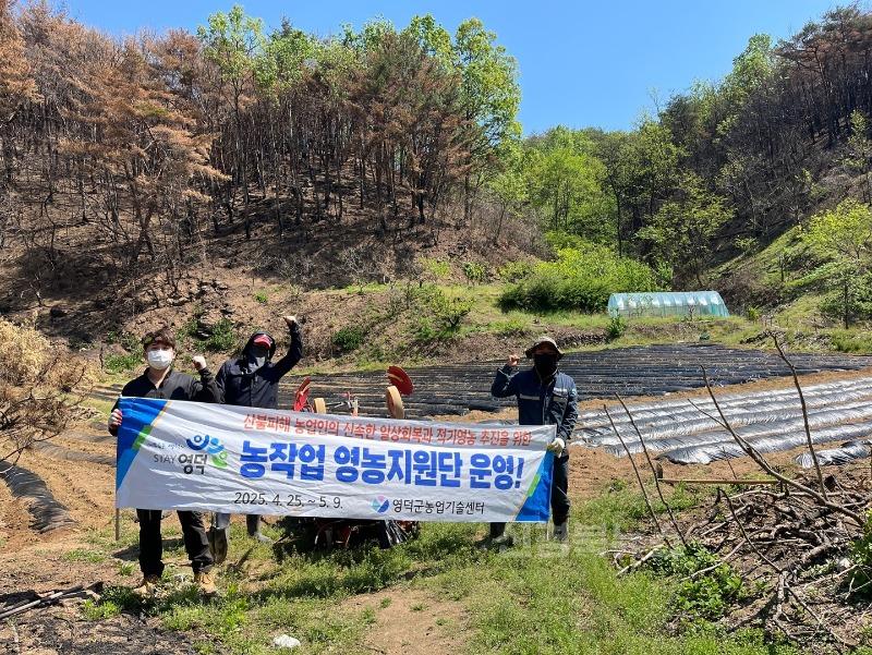 2-2_영덕군, 산불피해지에 농작업 영농지원단 운영.jpg