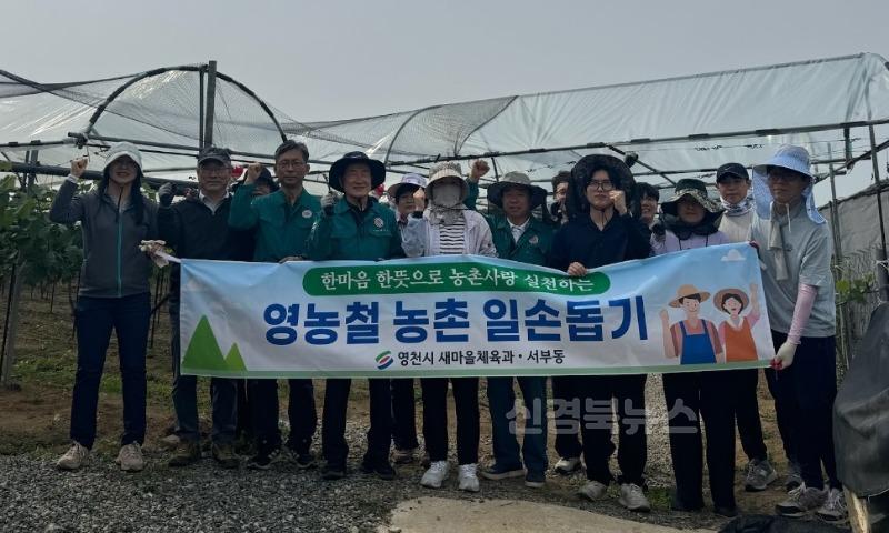 5 [사진] 영천시 서부동·새마을체육과, 농촌일손돕기로 지역사회에 온기 더해.jpeg