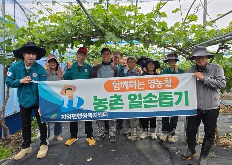 6 [사진] 자양면, 영농철 농촌일손돕기 실시 (1).jpg