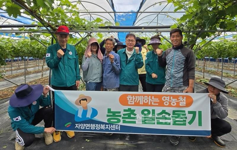 6 [사진] 자양면, 영농철 농촌일손돕기 실시 (2).jpg