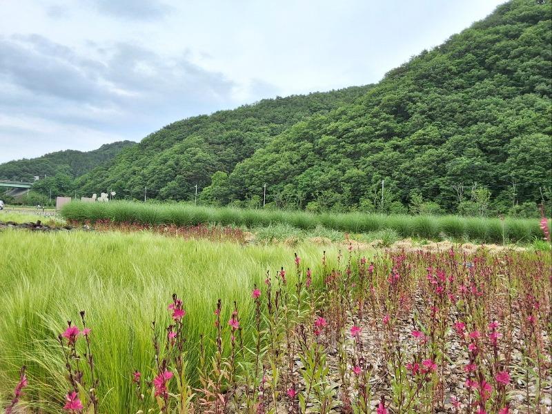 05.26-4 보도자료(어북실, 고령의 새로운 명소로 떠오르다)(3).jpg