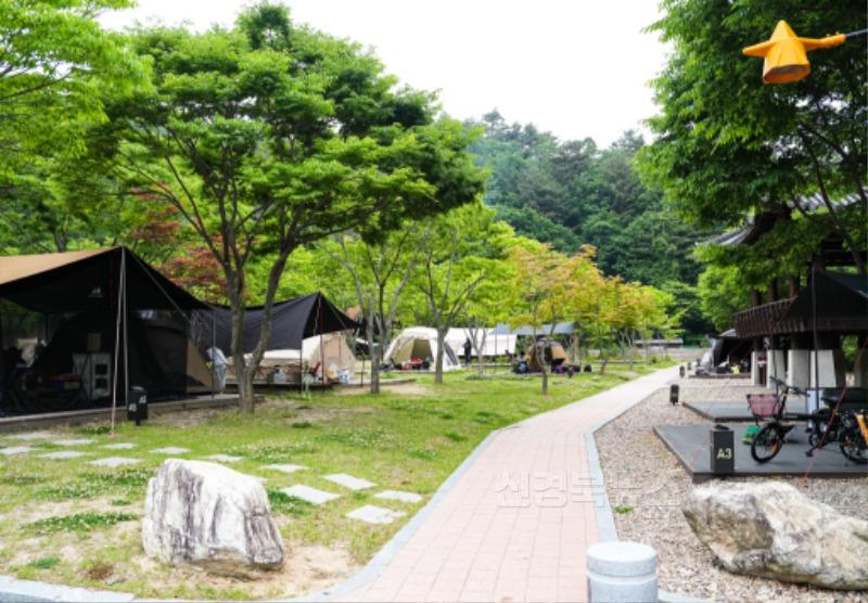 1-4 사진(무더위, 계곡과 별이 빛나는 영양군 캠핑장으로).jpg