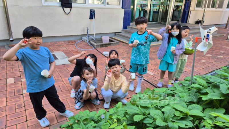 관호초등학교_학교 딸기밭에서 자연을 배우다 (1).jpg