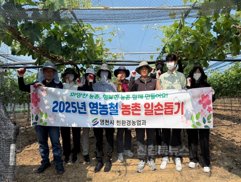 3 [사진] 영천시 친환경농업과, 구슬땀 흘리며 농촌일손돕기 힘 보태.jpg