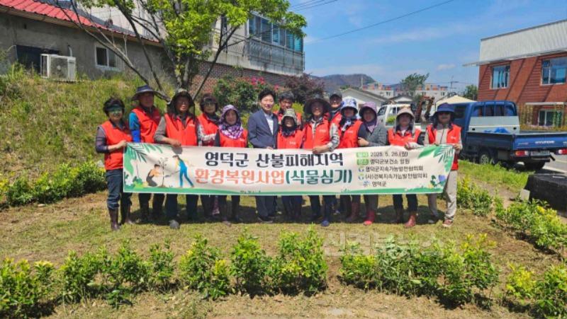 2_영덕 지속가능발전협, 산불 피해지역 환경복원 사업 추진.jpg