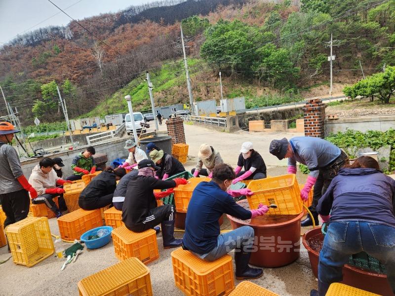 5_영덕군 재무과 직원들, 산불 피해 농가 찾아 봉사활동.jpeg