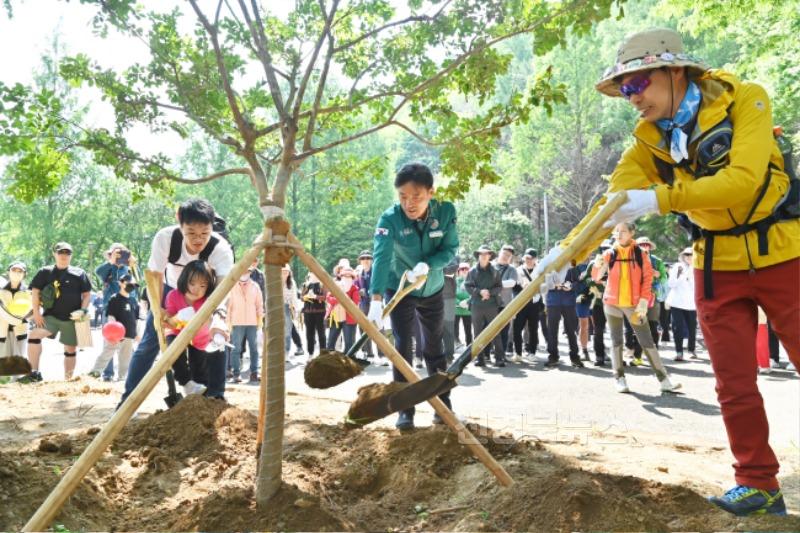 250528보도자료(청송군, 외씨버선길 걷기행사 성황리에 개최) (1).jpg