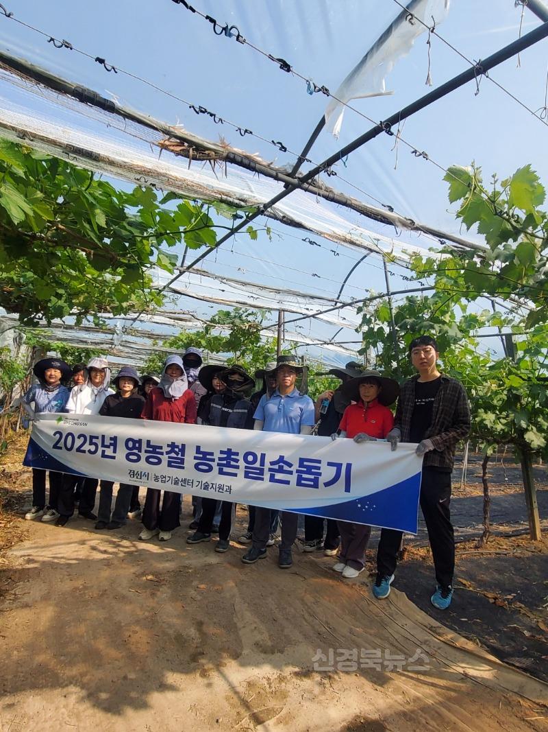 [경산시보도자료]농촌일손돕기 참여(1).jpg