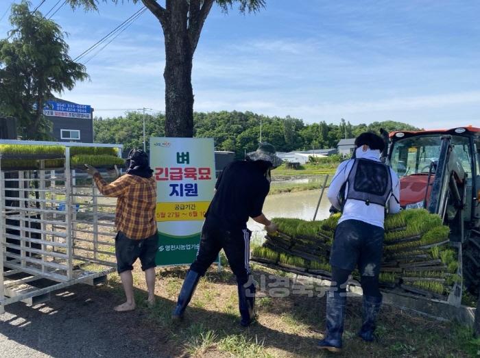 [크기변환]7 [사진] 영천시, 모내기철 맞아 긴급육묘 지원 (3).jpg