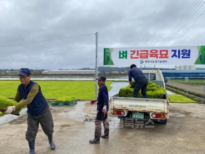 [크기변환]7 [사진] 영천시, 모내기철 맞아 긴급육묘 지원 (4).jpg