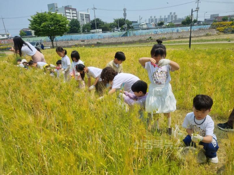 [경산시보도자료]남천둔치 정원 체험 행사 실시(3).jpg