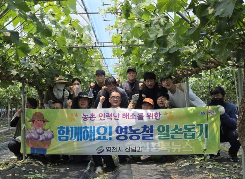 3 [사진] 영천시 산림과, 영농철 맞이 농촌일손돕기 실시 (1).jpeg