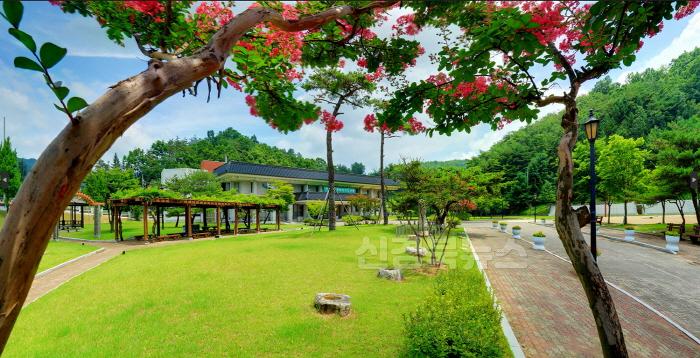 [크기변환]0530 안동시립박물관, 단오맞이 행사 개최.jpg