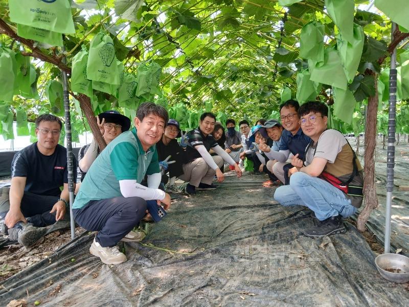 김천시 산림녹지과·산림조합, 농촌 일손 돕기 ‘합심’-산림녹지과(사진).jpg