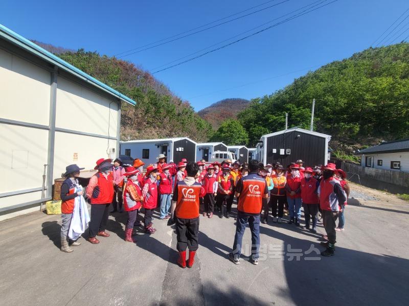 5 [사진] 영천시자원봉사센터  산불 피해 농가 일손돕기 나서 (1).jpeg