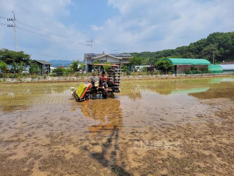 성주군사진(월항면 지역사회보장협의체  지역특화사업 실시)-2.jpg