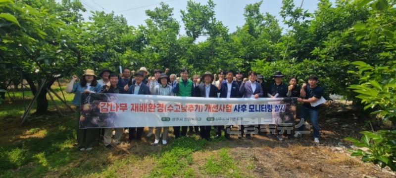 [상주시 산림녹지과]감나무 수고 낮추기 사업 사후모니터링.jpeg