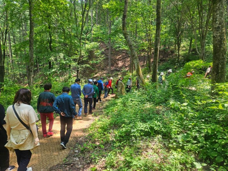 김천시, 국립김천치유의숲 연계 ‘산림치유 프로그램’ 운영-중앙보건지소(사진1).jpg