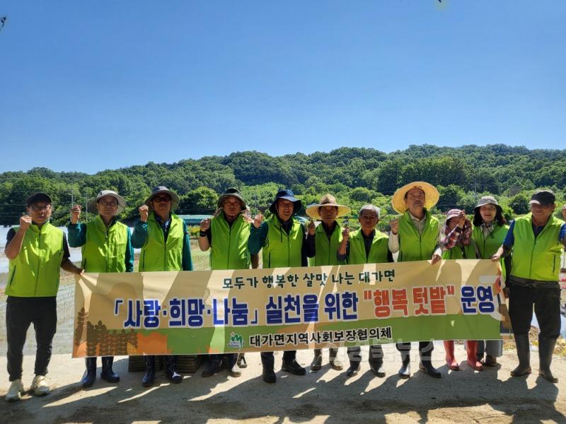 성주군사진 (대가면지역사회보장협의체 이웃사랑 실천을 위한 모내기 실시)2.jpg