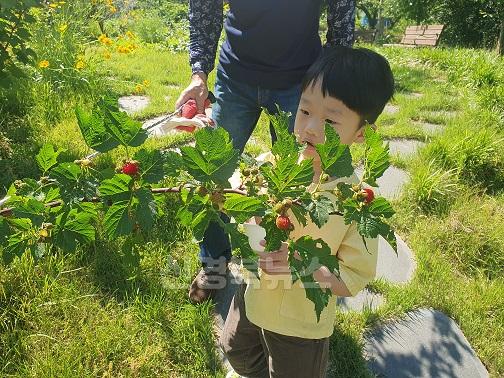 (조마초병설유)(자연체험활동)-2.jpg