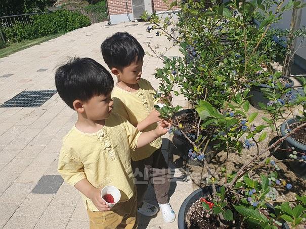 (조마초병설유)(자연체험활동)-3.jpg