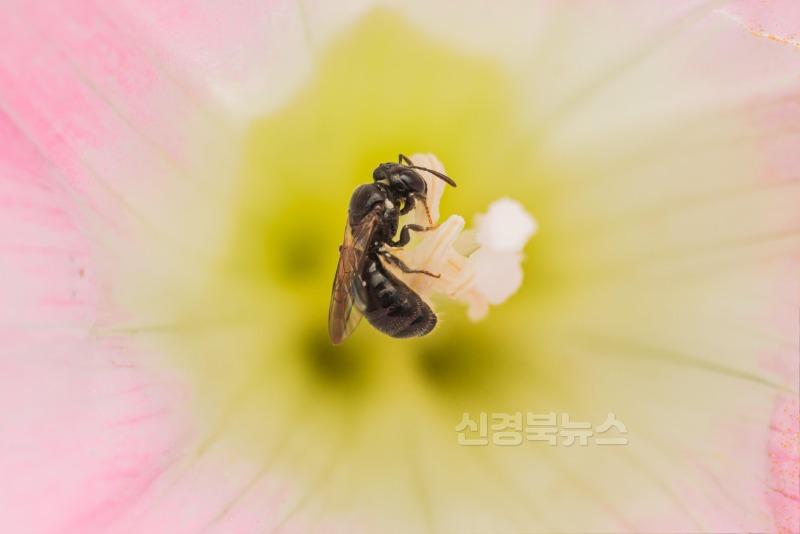 시장상.jpg