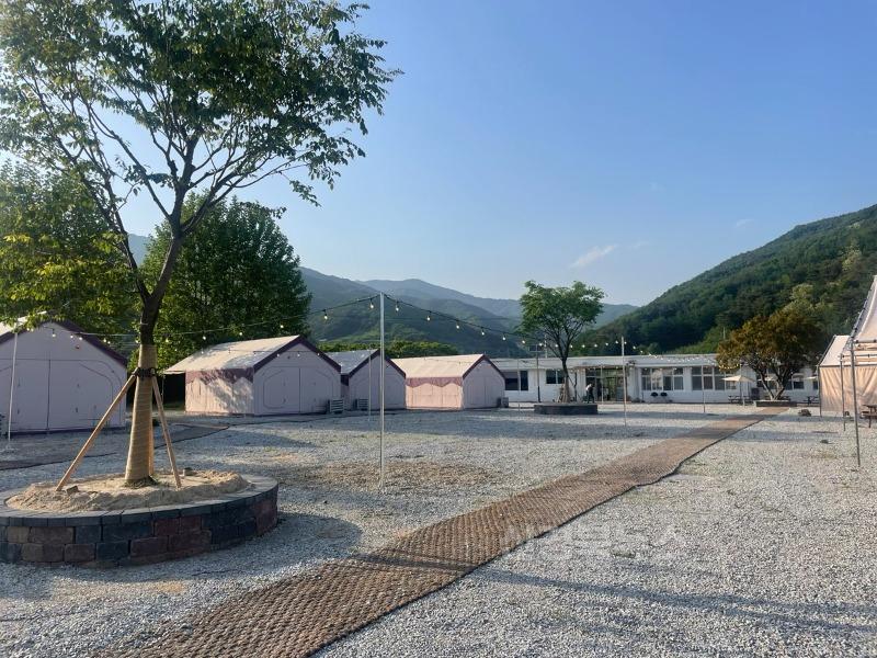 영주-2-2 폐교부지 활용한 ‘여우골 글램핑장’이 6월20일 정식 개장한다(글램핑장 야외 모습).jpg