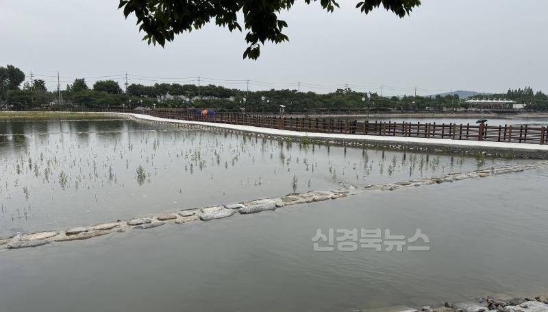 1 [사진] 영천시, 우로지 농업용 저수지 수질개선사업 완공.jpg