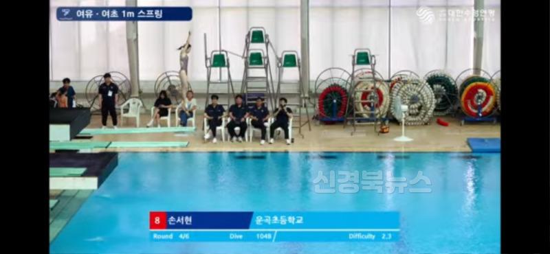 운곡초 다이빙부, 전국 수영 선수권대회서 우수한 성적 거둬 사진3.jpg