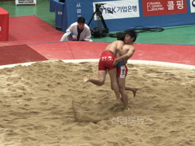 [호서남초] 제2회 괴산유기농배전국장사씨름대회 3-2.JPG