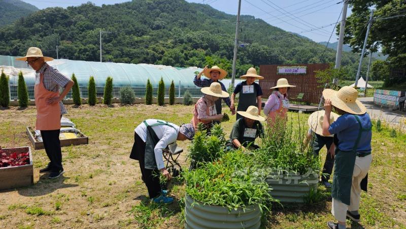 06.19-2 보도자료(치매안심센터 인지강화교실)(3).jpg