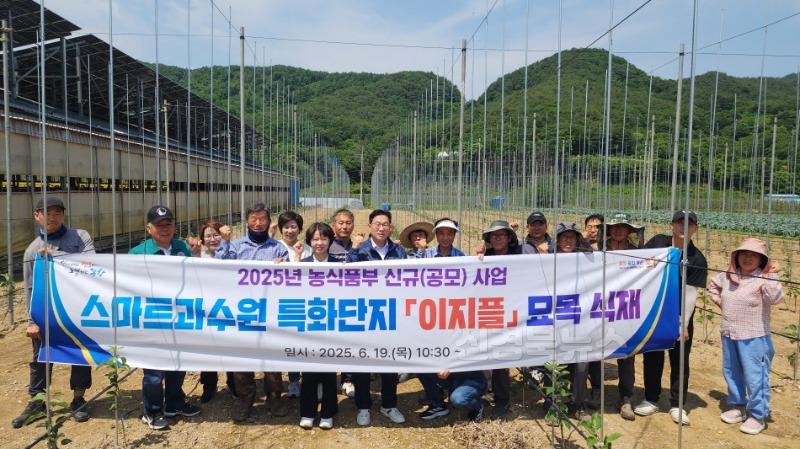 250619 포항시, 스마트과수원 특화단지에 ‘이지플 사과나무’ 식재.jpg