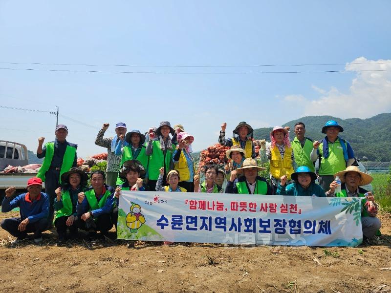 성주군사진(수륜면 지역사회보장협의체 지역특화사업 양파수확)-1.JPG