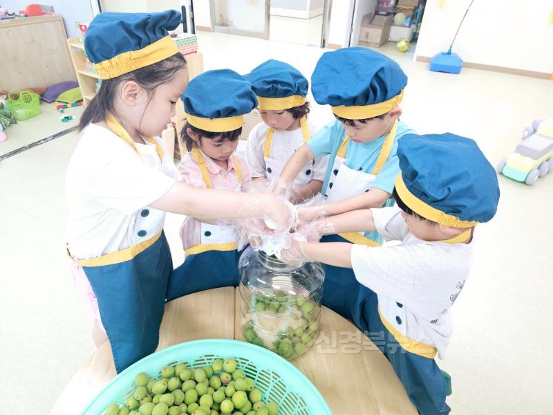 [이서초]이서초병설유치원, 매실담기 체험1.jpg