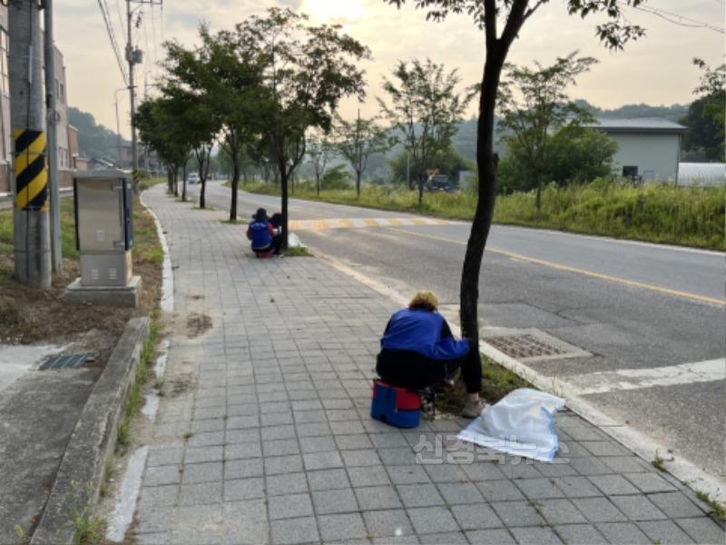 영주-9-2 하망동 바르게살기위원회가 대로변 잡초를 정리하고 있다.jpg