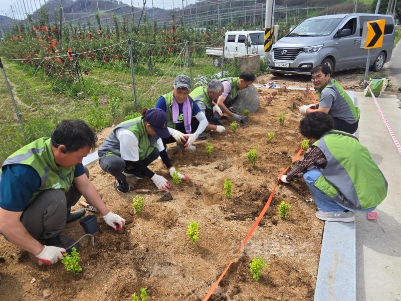 4-3 사진(영양군 다문화가정 Hot나눔봉사단 이웃사랑 실천).jpg