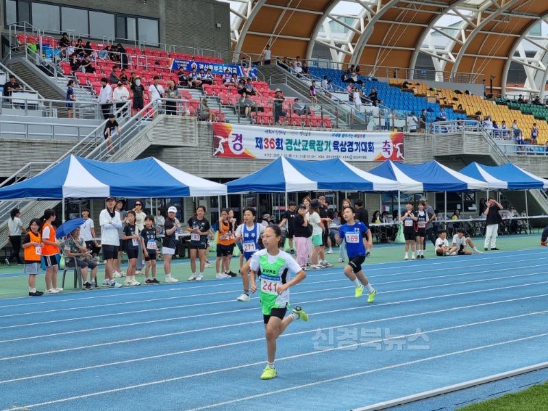 경산교육지원청, 제36회 경산교육장기 육상경기대회 개최(2).jpeg