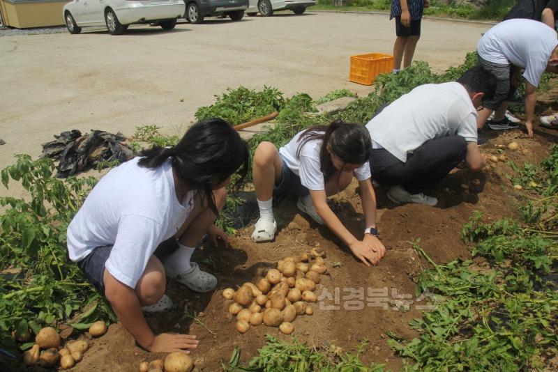 07_상주남부초_2025 감자요리경연대회1.JPG
