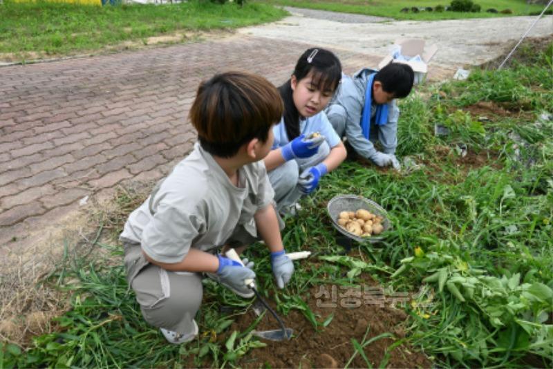 텃밭1.jpg
