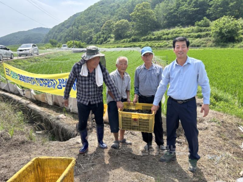 2. 미꾸라지를 방사하고 있다.jpg