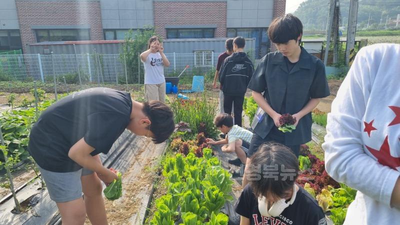 7. 한울안중, 학교 텃밭 농작물 재배와 판매를 통한 인성교육 실천-2.jpg