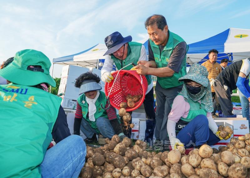 2 [사진] 새마을지도자영천시협의회  사랑으로 직접 키운 감자 1 600kg 기탁 (4).jpg