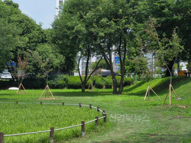 성주군사진(성밖숲 왕버들 보존과 생태경관 개선 박차)-2.jpg