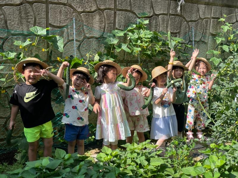 남율유치원_오이체험사진2.jpg