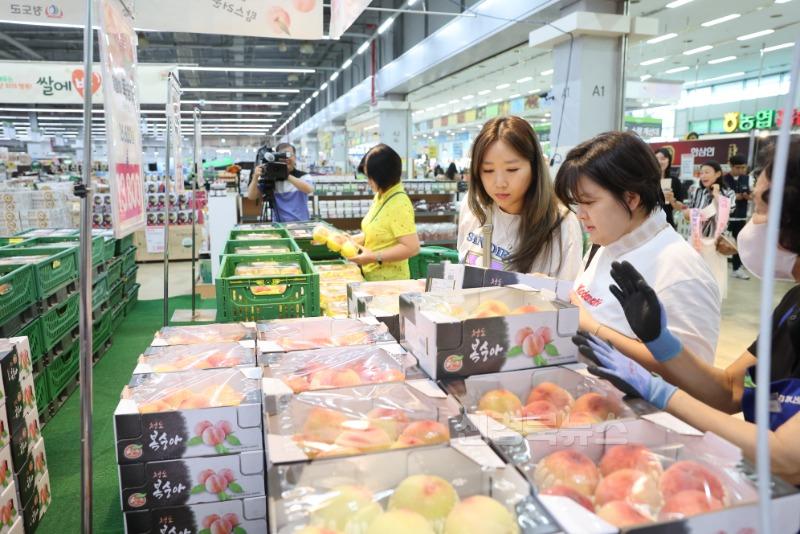 농업정책과)청도복숭아 판촉행사 1.jpg