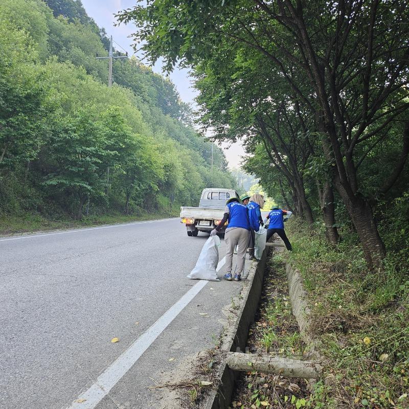 영주-7-2 바르게살기위원들이 도로변 환경정비를 실시하고 있다.jpg