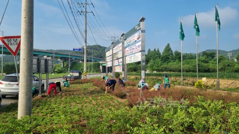 07.04-추가1 보도자료(쌍림면 새마을회, 예쁜 새마을동산 가꾸기)(3).JPG