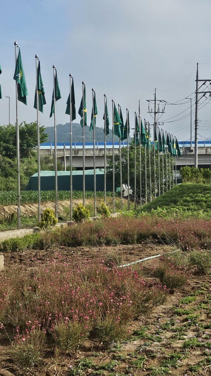 07.04-추가1 보도자료(쌍림면 새마을회, 예쁜 새마을동산 가꾸기)(4).JPG
