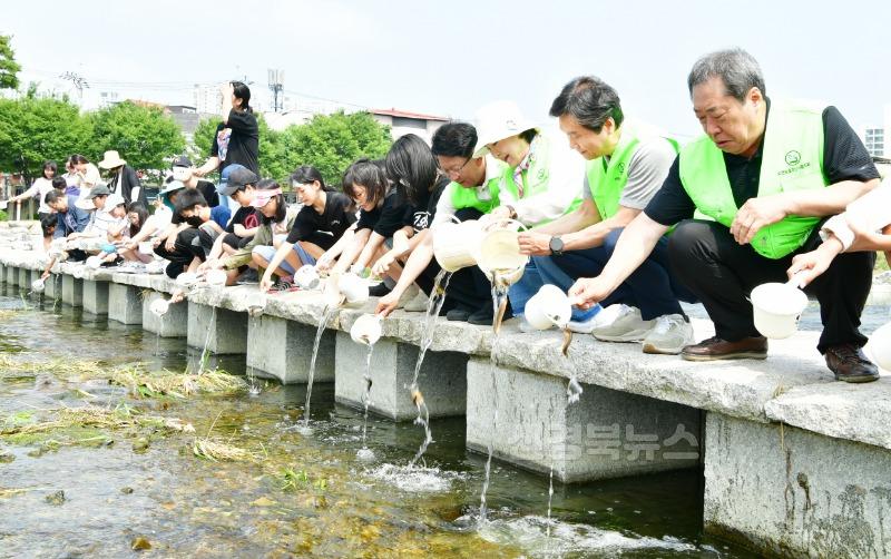 경산시 - 자연보호경산시협의회, 남천에 해충구제 위한 미꾸라지 방류2.JPG