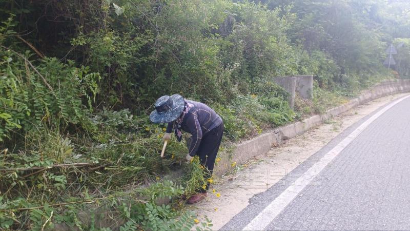 부항면 자율방재단  안전한 도로 환경 위한 연도변 풀베기-부항면(사진2).jpg